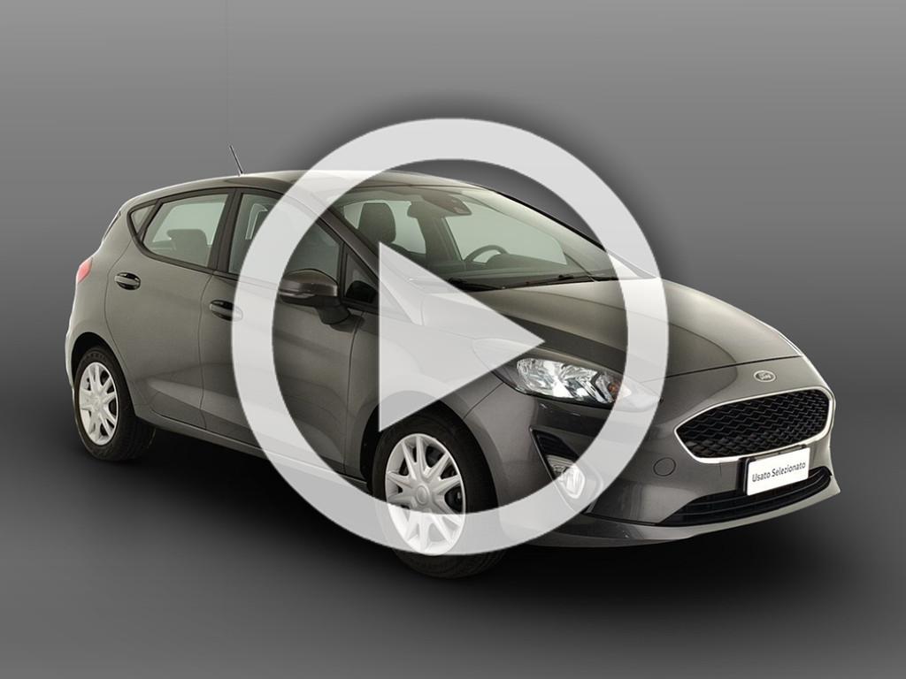 Ford Fiesta 5p 1.0 ecoboost business s&s 100cv - phyron